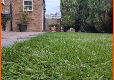 New garden turf Aylesbury