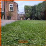 New garden turf Aylesbury